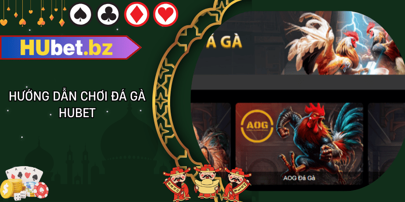 Hướng dẫn chơi đá gà hubet