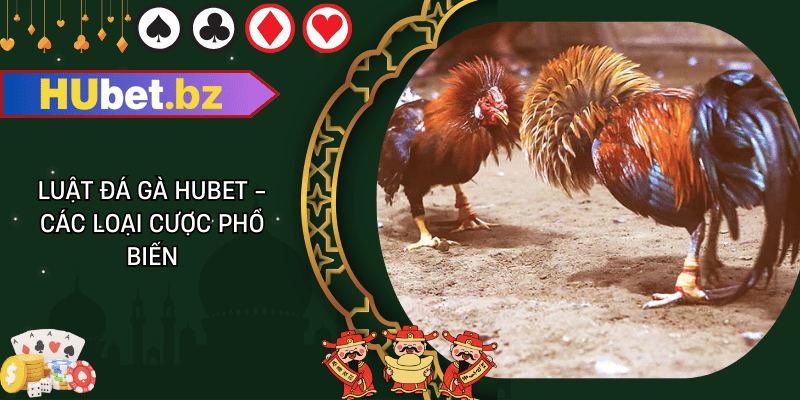 Luật đá gà hubet - các loại cược phổ biến
